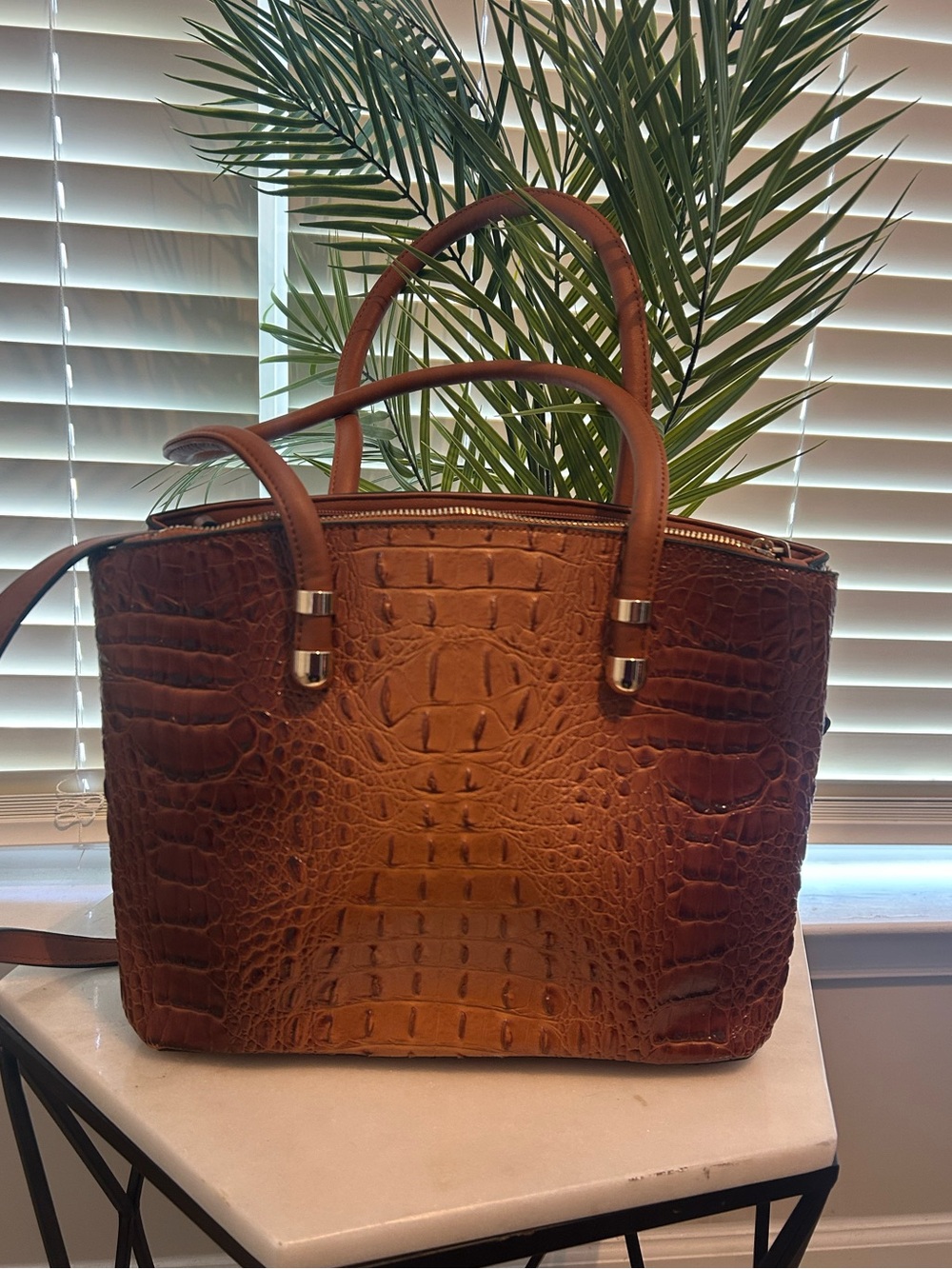 Brown Croc-Embossed Leather Tote Bag - Brown